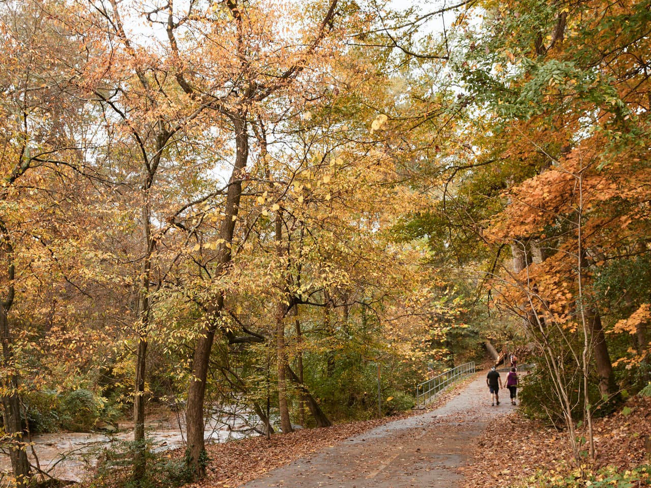 A couple walks on a path, surrounded by trees with fall colors.