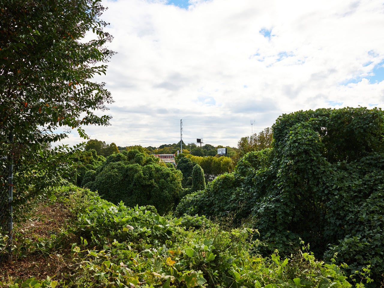 View across the 579 Garson Drive site toward Piedmont Road