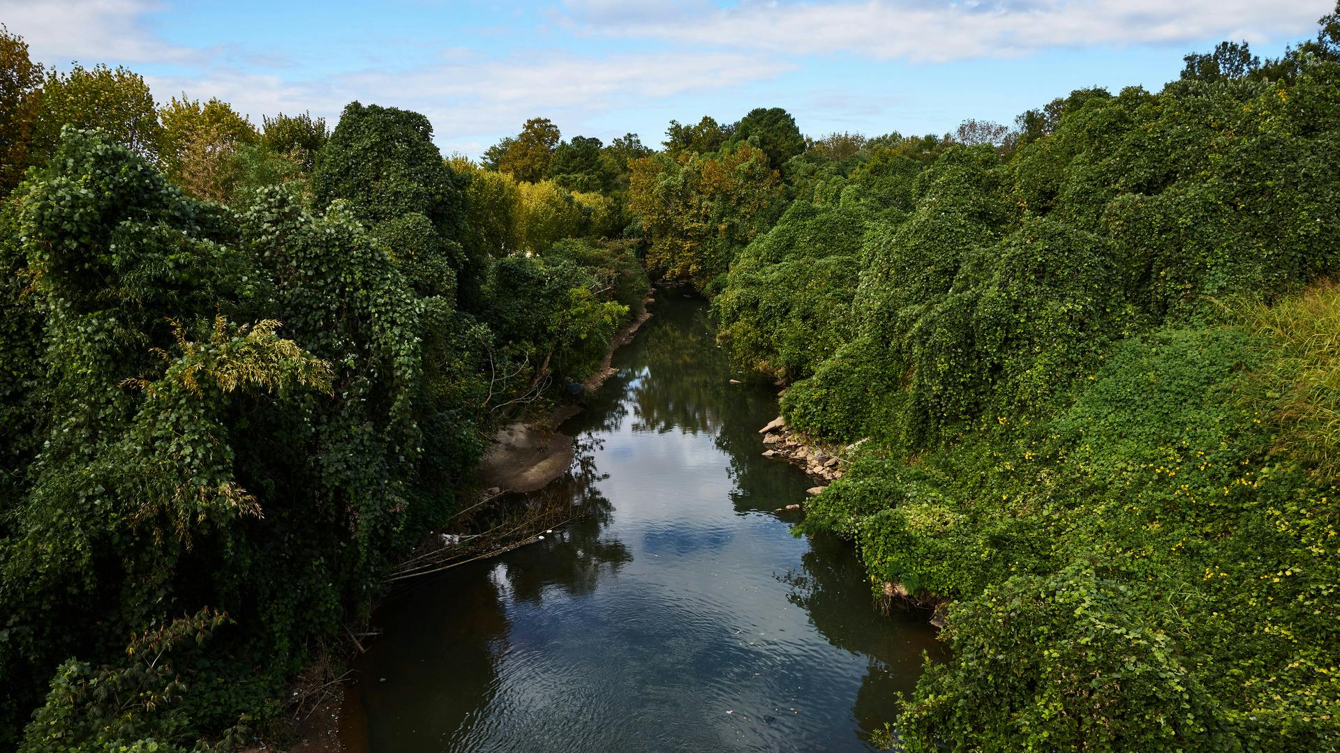 View of Peachtree Creek from Piedmont Road